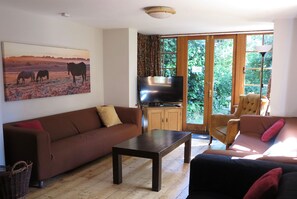 TV, fireplace, DVD player, books