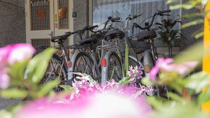A row of bicycles parked outside a building with a glass door and windows. - Mei Di Ya Ju Guest House (Yuli)
