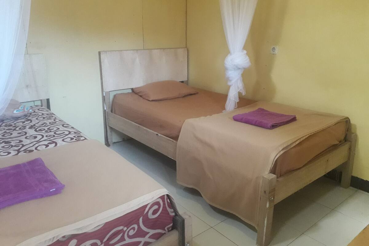 Economy-værelse med 2 enkeltsenge | Skrivebord, gratis Wi-Fi