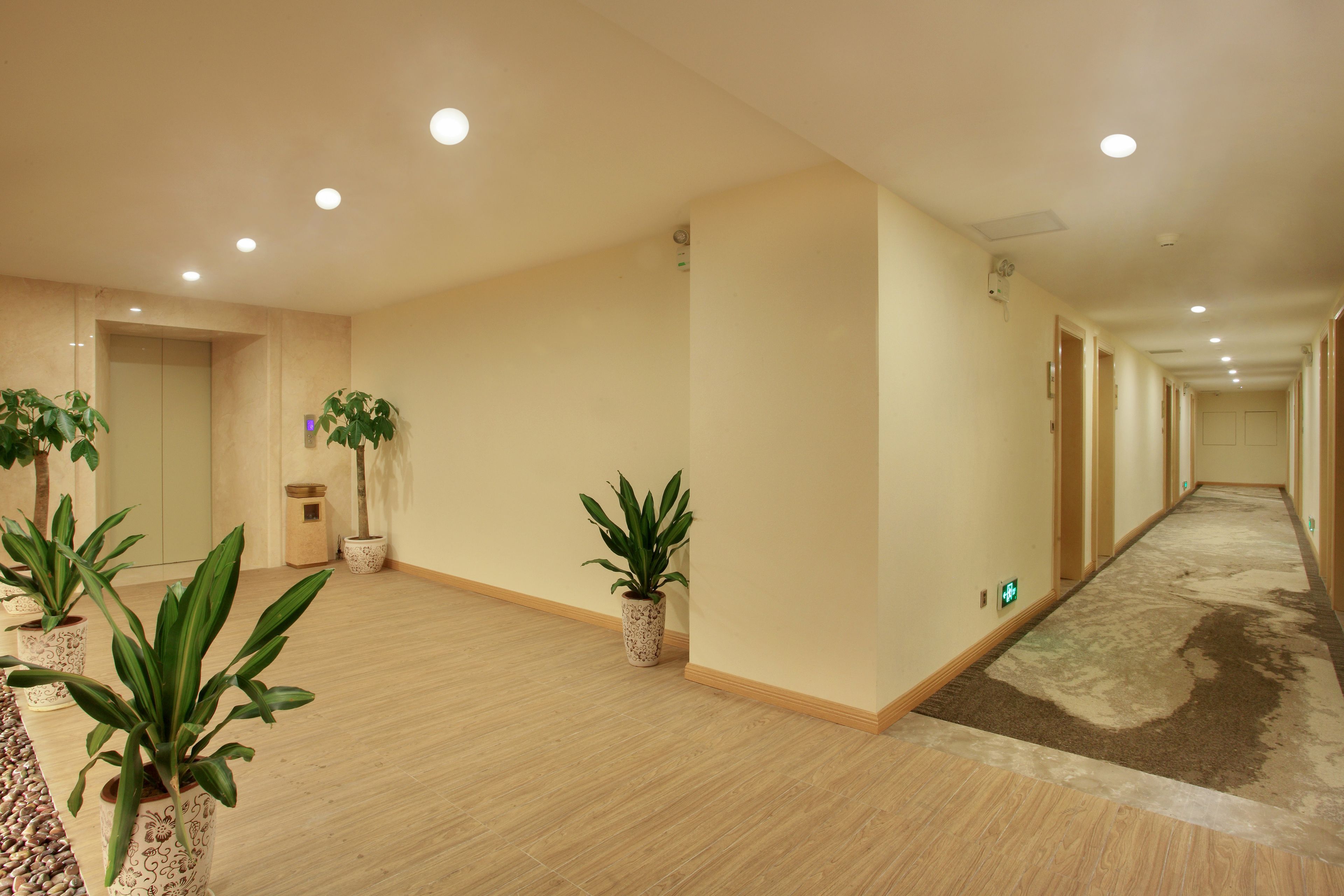 A long, narrow hallway with wooden flooring, beige walls, and several potted plants.