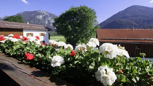 Eine hölzerne Bank mit Blumen, ein weißes Gebäude und ein Gebäude mit rotem Dach, im Hintergrund Berge.