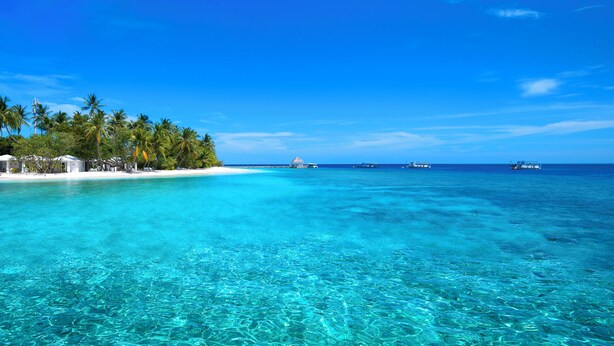A clear turquoise sea with a sandy beach and palm trees. - Sandies Bathala (Bathala Island)