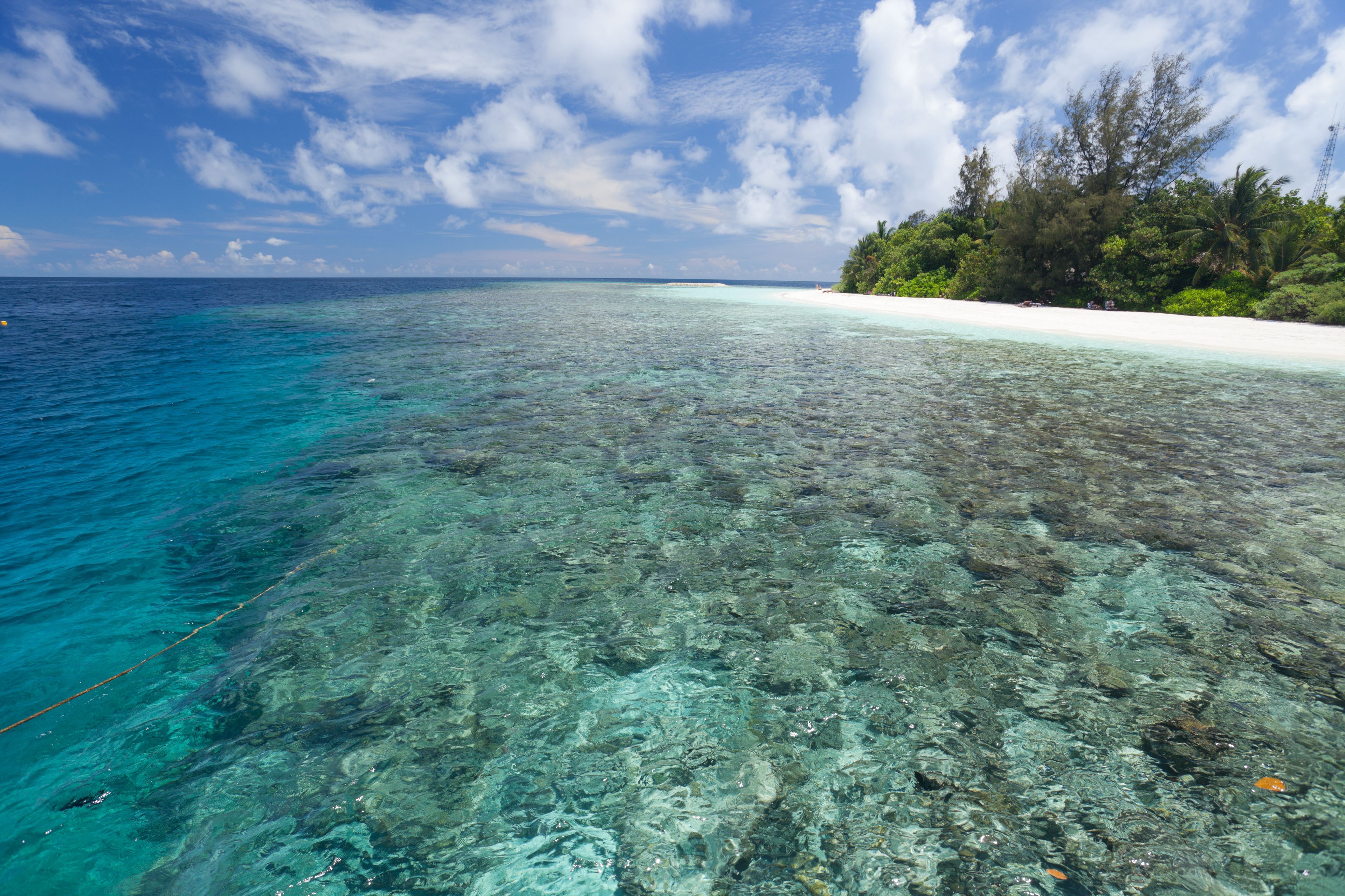 A clear view of a beach with turquoise water, white sand, and dense green vegetation.
