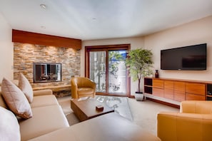 TV, fireplace, DVD player