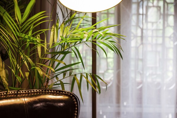 A potted plant with long green leaves in a room with a window and a lamp. - Floral Hotel Hangzhou Nuanshuyiju (Hangzhou)