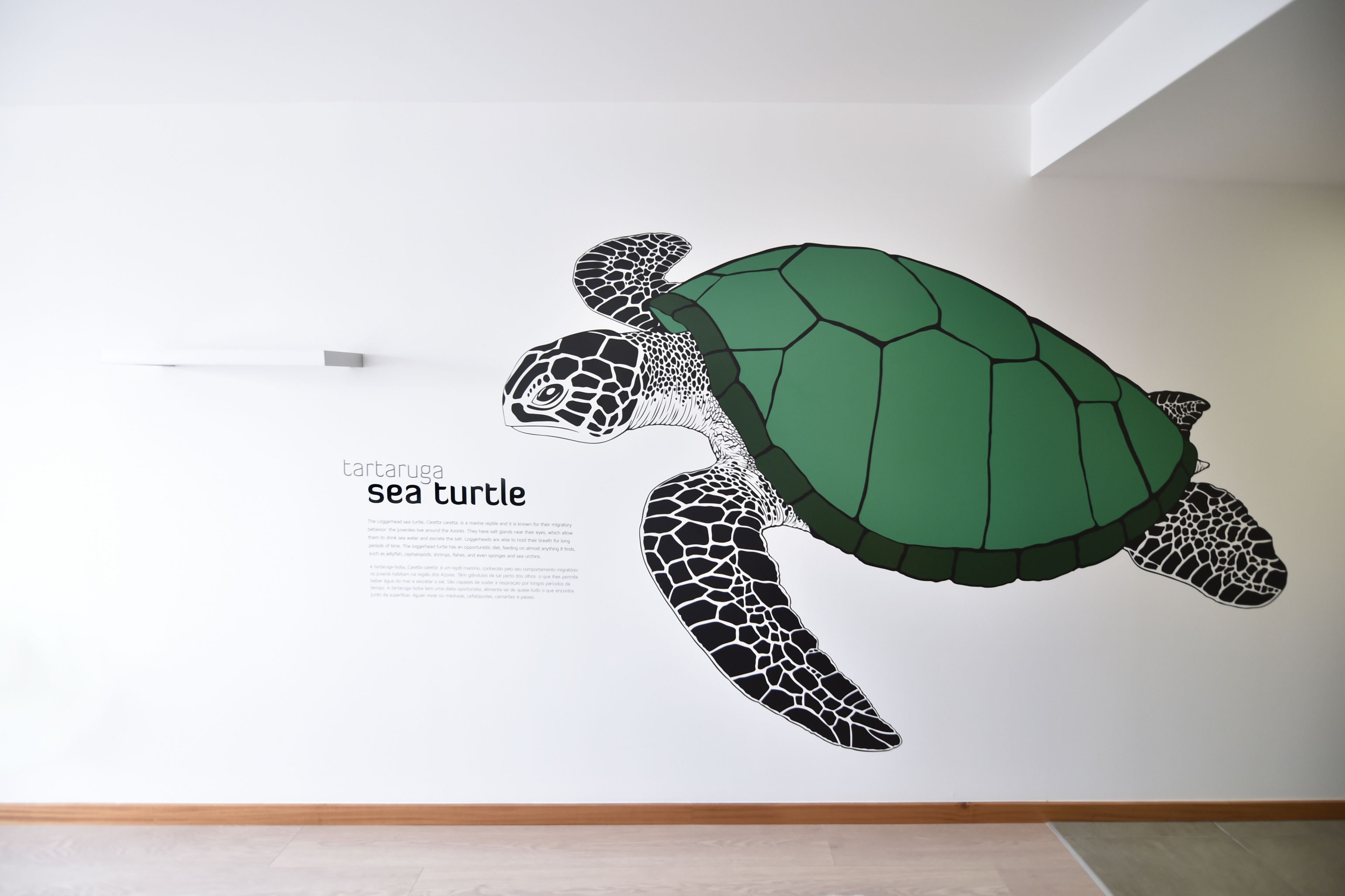 Una obra de arte en la pared que muestra una tortuga marina con una etiqueta.