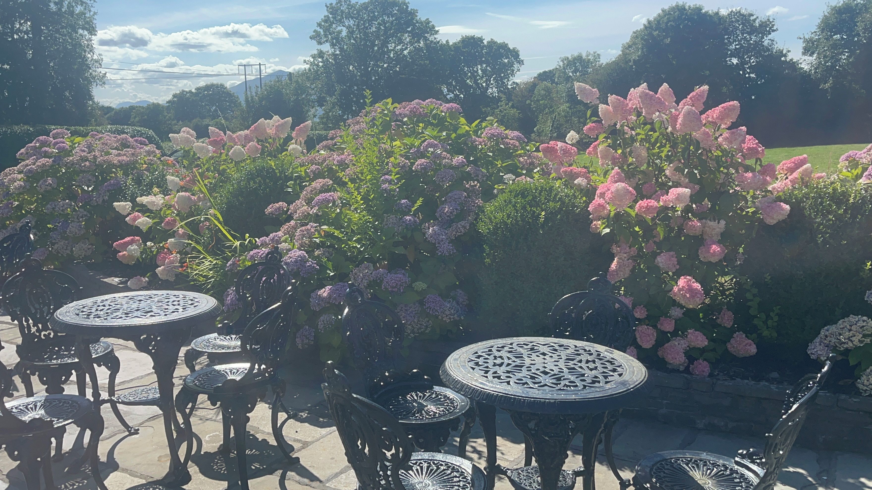 Outdoor seating with tables and chairs, surrounded by flowering plants.