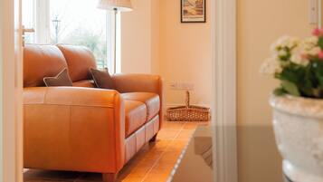 Smart TV, fireplace, DVD player, books