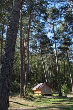 Classic Cabin, Non Smoking | View from room - Camping Osenbach (Osenbach)