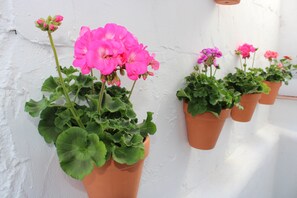 Terracotta flower pots with pink and purple flowers against a white wall.