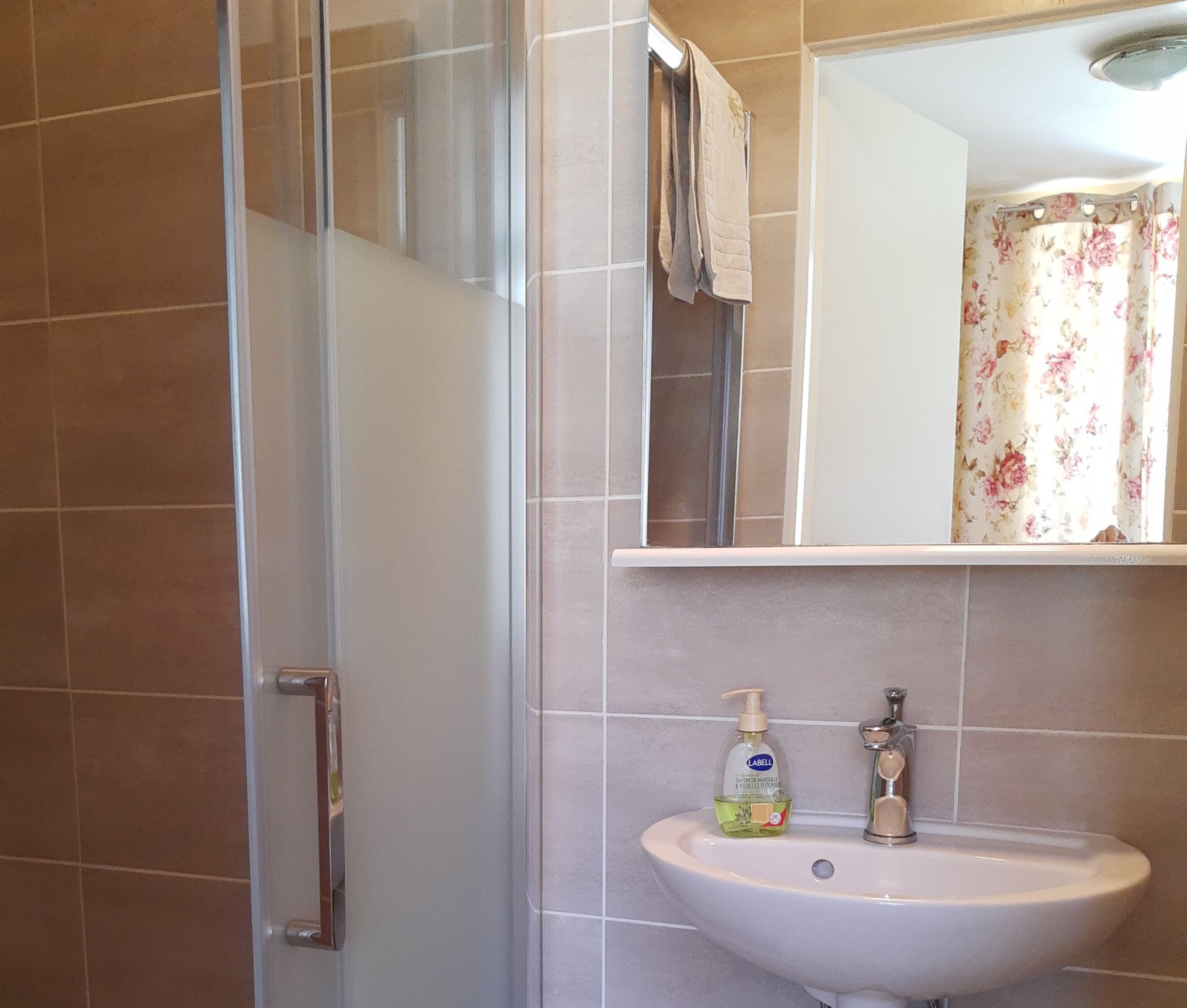 A bathroom with a glass shower door, a sink with a bottle of soap, and a mirror above the sink.