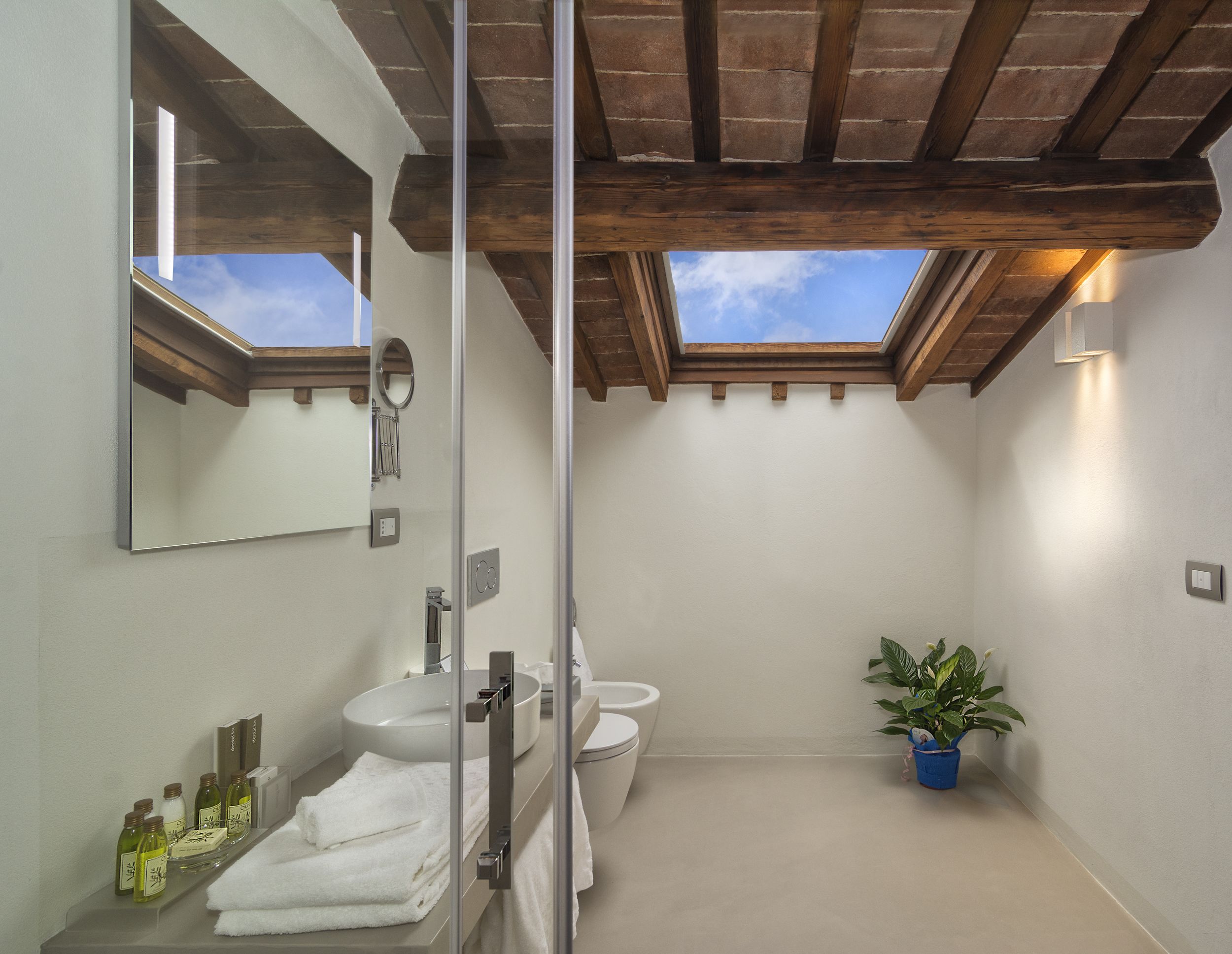 A modern bathroom with a skylight, a sink, a toilet, and a potted plant.