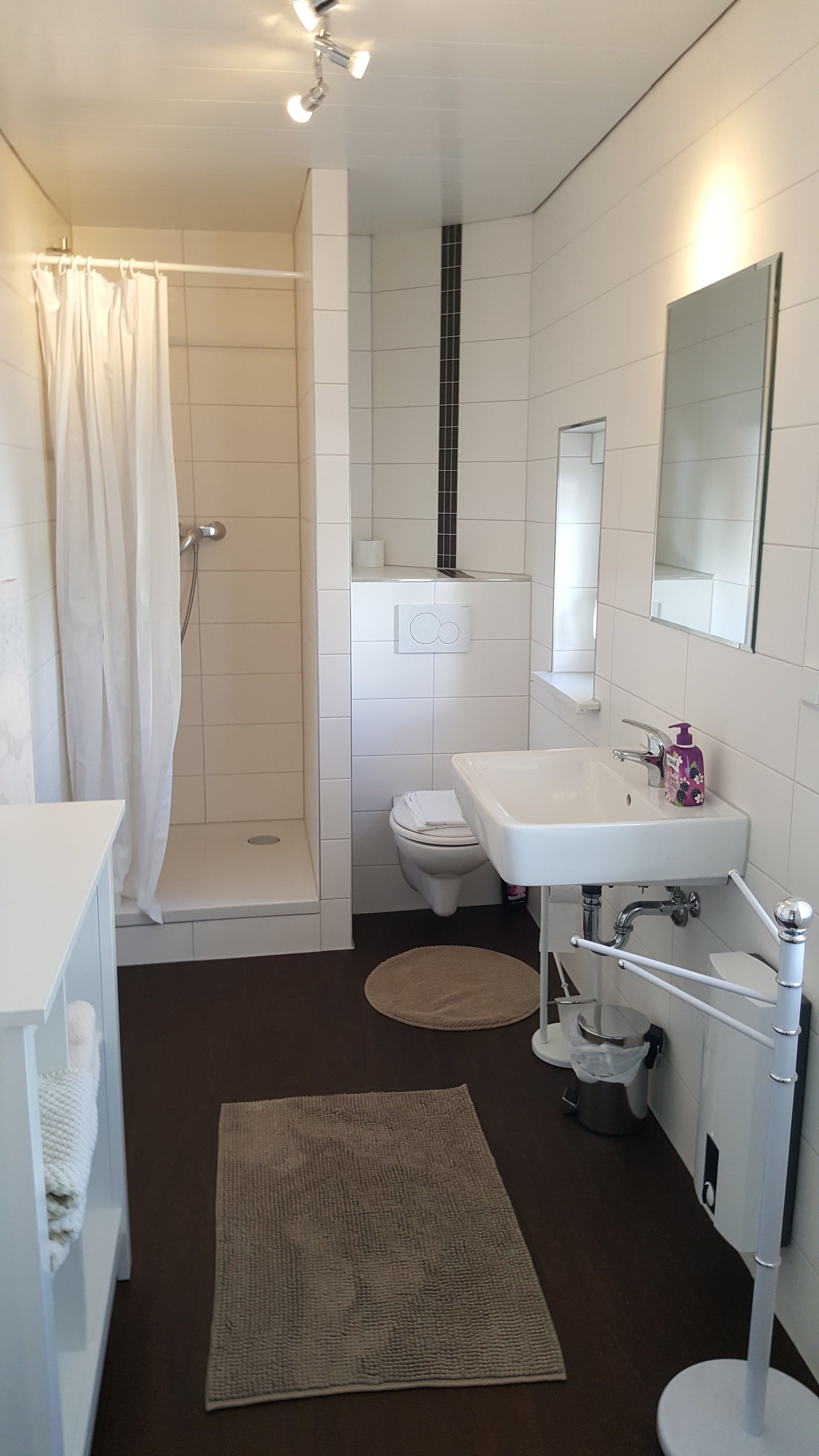 Apartment (Nr. 6) | Bathroom | Hair dryer, towels
