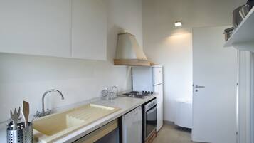Una cocina compacta con pileta, estufa y horno.