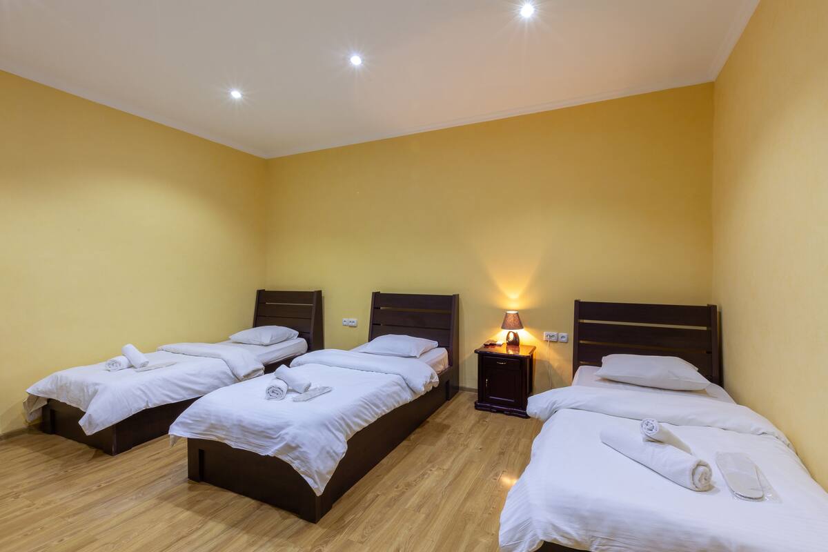 Iron/ironing board, free WiFi, bed sheets