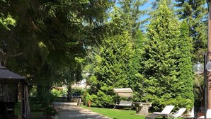 A paved pathway leading to a covered seating area with a table and chairs, surrounded by lush greenery and tall trees. - LH Hotel il Picchio (Pescasseroli)
