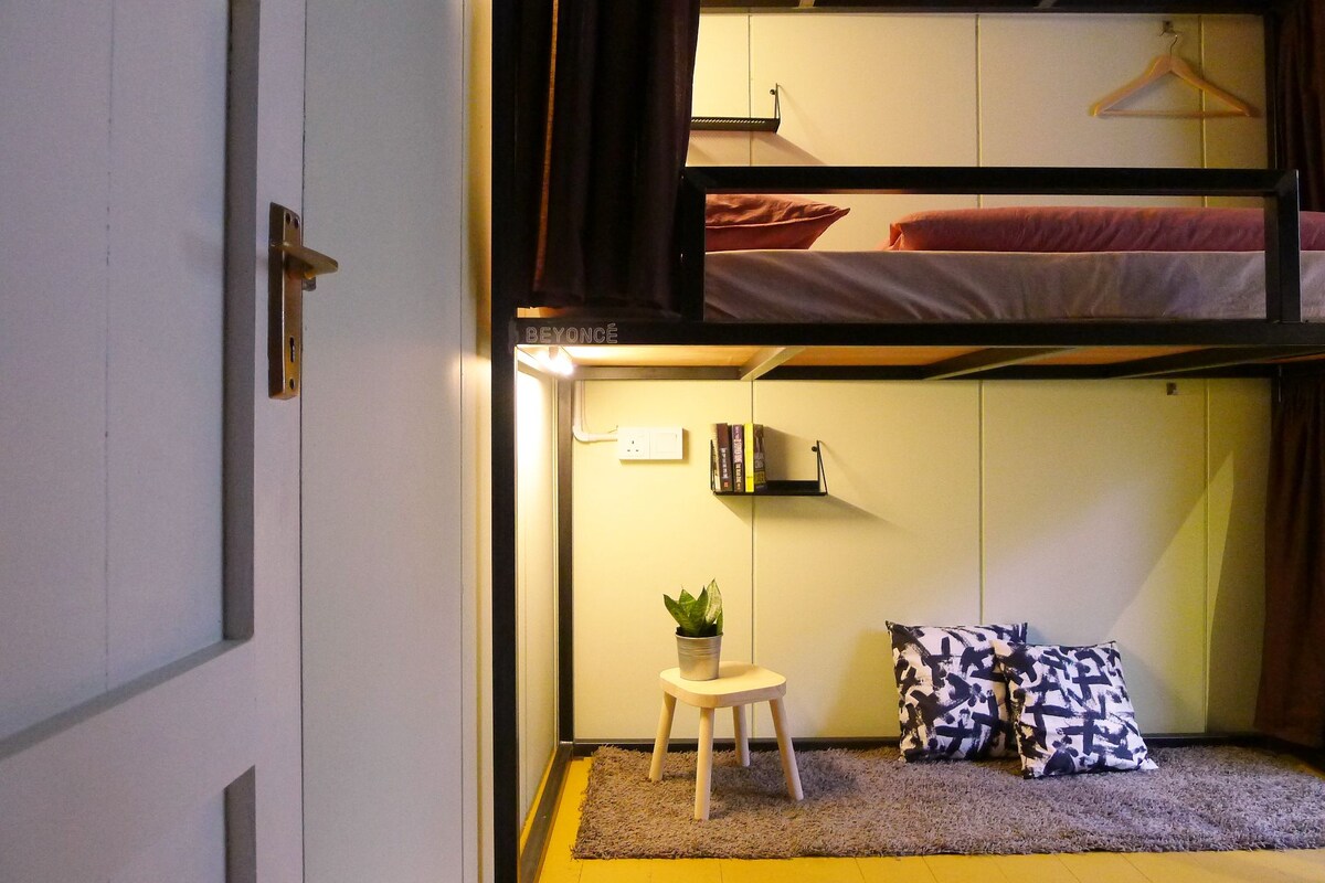 A dormitory room with bunk beds, a small stool with a plant, and two patterned pillows on a rug.