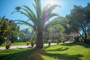 Outdoor pool, open 9:00 AM to 10:00 AM, pool umbrellas, pool loungers - Helena Inn (Kefalonia)