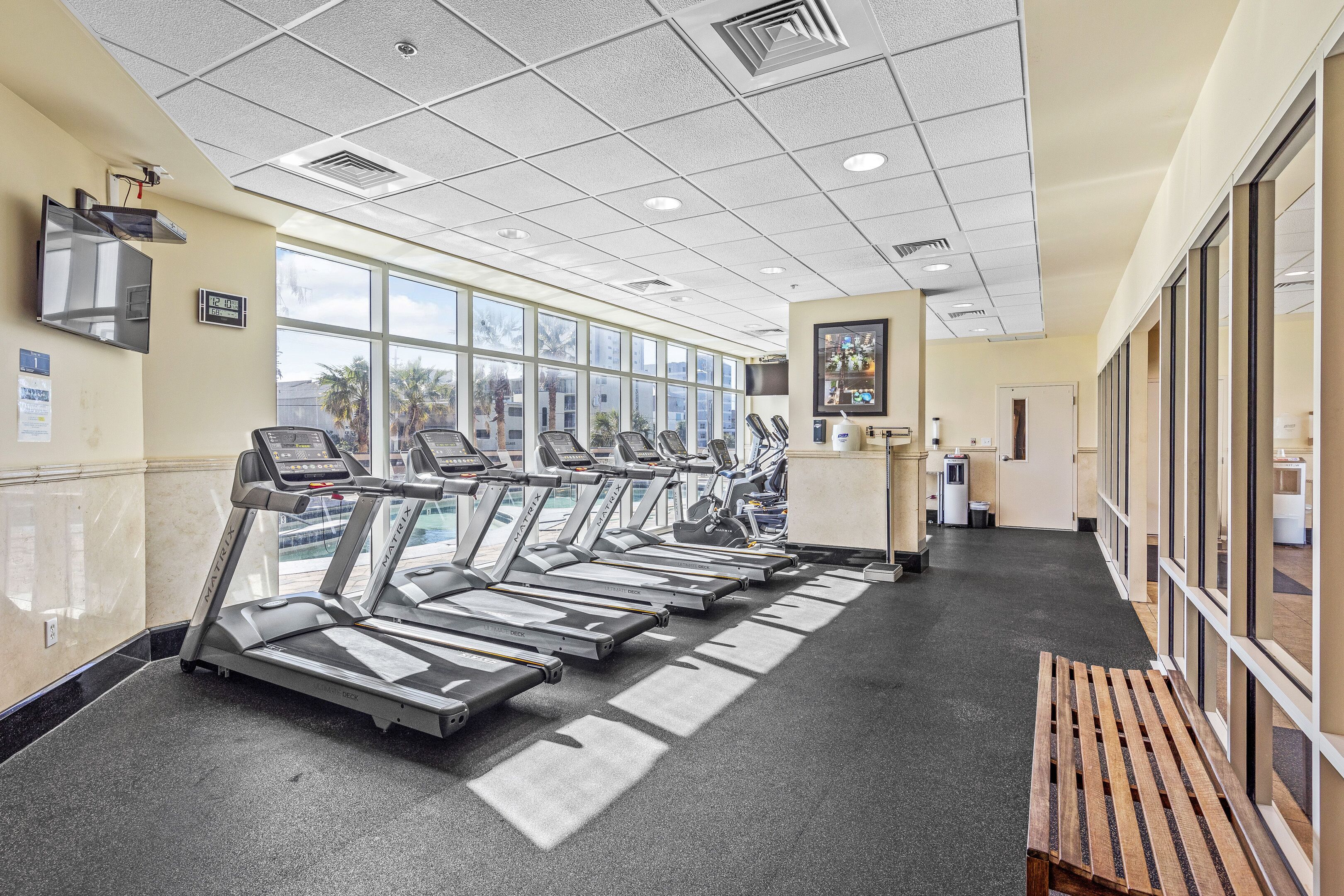 A gym with treadmills aligned in rows, large windows, and a view of palm trees outside.