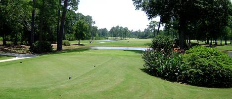 A golf course with a pond, trees, and a well-maintained lawn.