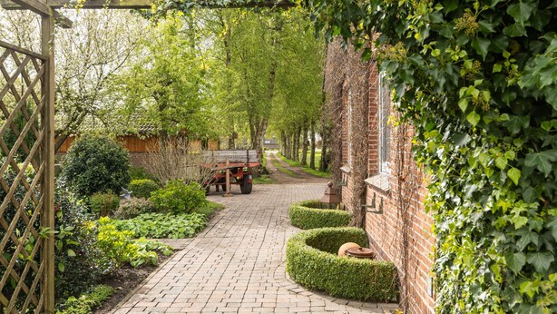 A brick pathway flanked by neatly trimmed hedges and lush greenery, leading to a rustic building with a brick facade partially covered in ivy.
