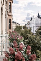 Un balcón con una maceta y vistas a edificios históricos.