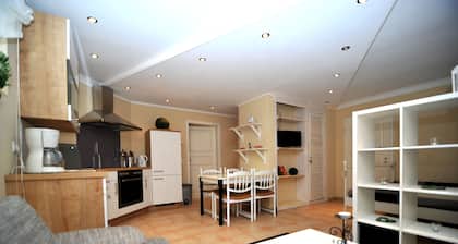 Brightly furnished non-smoking apartment in a quiet location