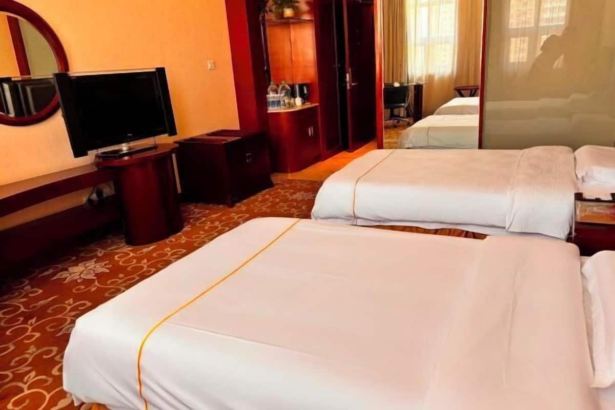 Habitació d'hotel amb dos llits, televisió, barra minibar i mirall.