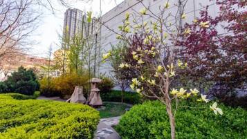 A landscaped garden with a pathway, a tree, and a building in the background.