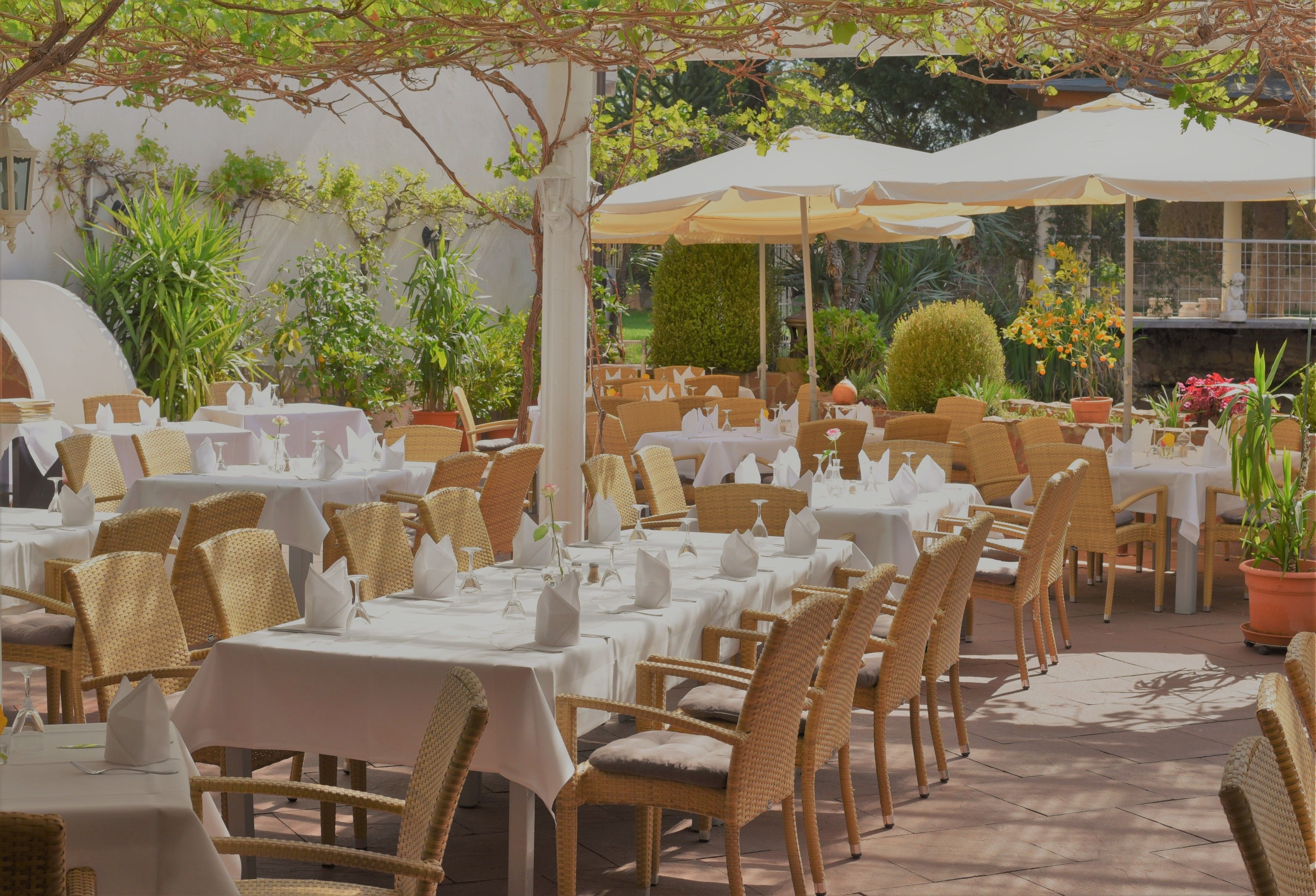 An outdoor dining area with tables and wicker chairs, surrounded by potted plants and umbrellas.