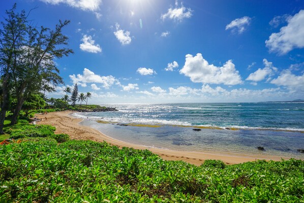 Beach nearby - Quiet condo with lanai - steps from the beach & heated oceanfront pool (Kapaa)