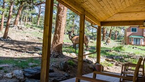 Une terrasse en bois avec un espace abrité, un cerf en arrière-plan et un bâtiment doté d’un toit végétalisé.