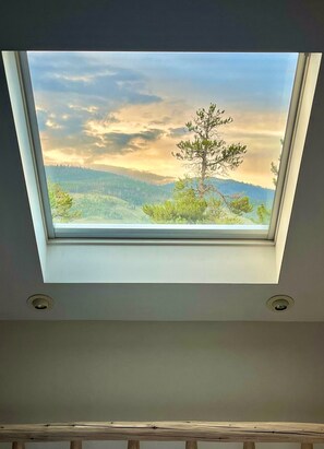 Interior - Mountain Retreat: Private Hot Tub, Fireplace, & Ergonomic Remote Work Setup (Dillon)