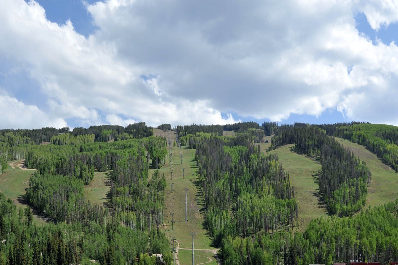 A mountainous landscape with dense forests and a clear sky.