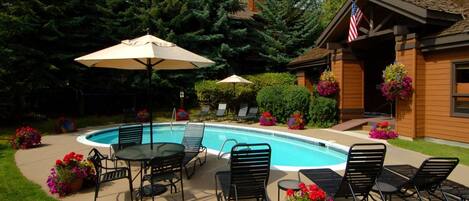 House | Pool | Outdoor pool