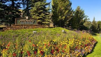 Huis | Terrein van de accommodatie