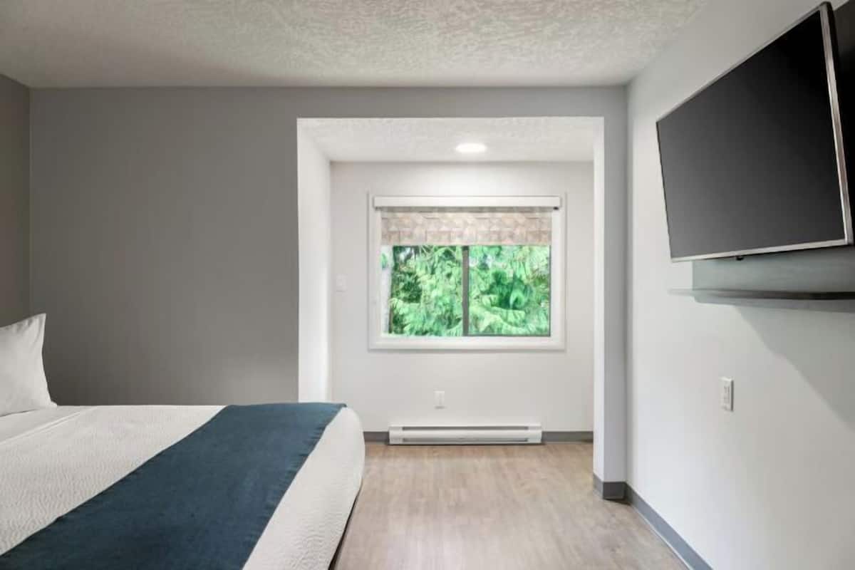 A bedroom with a bed, a window with a view of greenery, a wall-mounted TV, and a built-in heater.