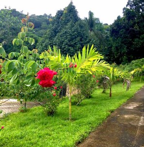 Exterior - The blue Lagoon Hostel & Private Rooms (Port Antonio)