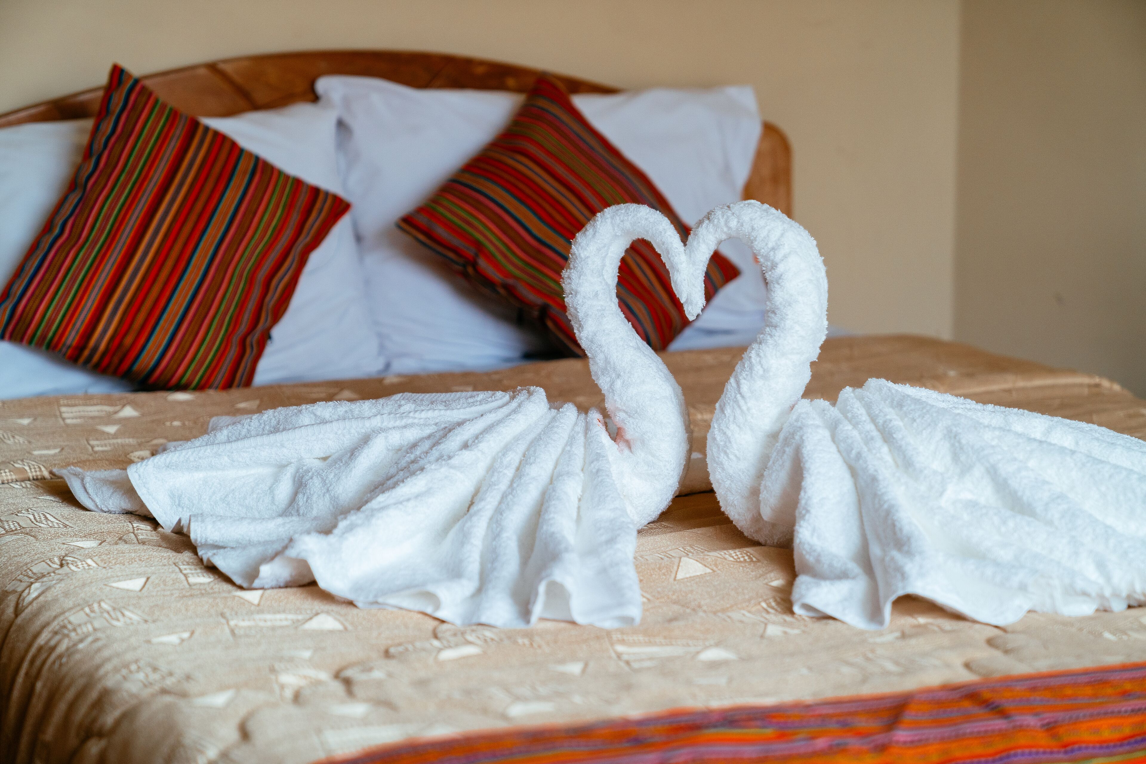 Foto - Hotel Melanys