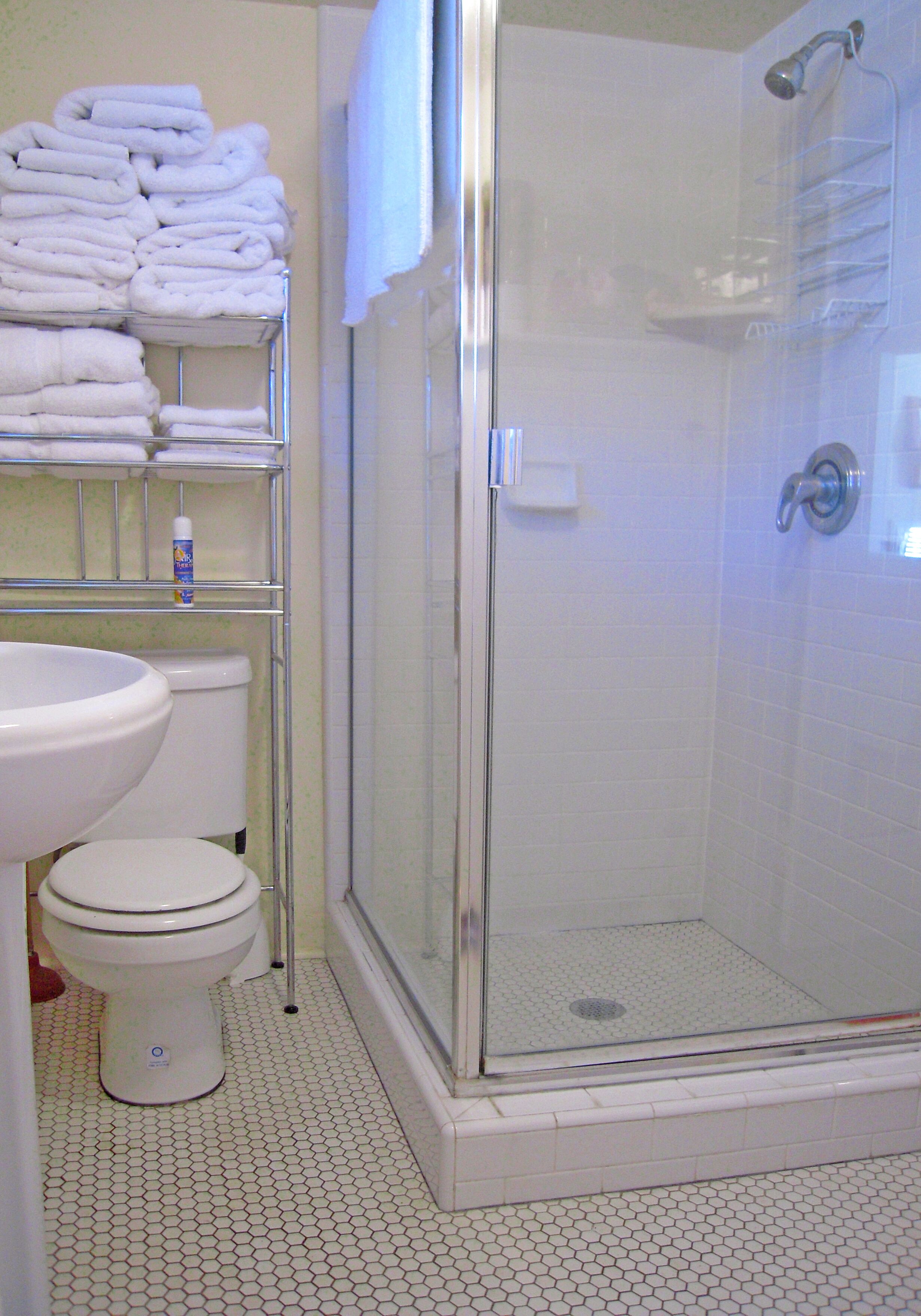 A bathroom with a toilet, sink, and a glass-enclosed shower stall.