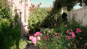 Een smal tuinpad met roze bloemen en groene begroeiing, afgegrensd door een witte muur en een gebouw met een raam.
