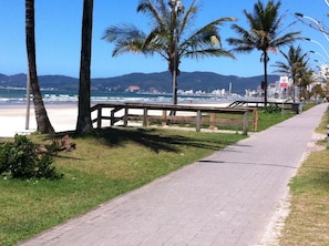 A paved walkway alongside a beach with palm trees and a wooden bench.