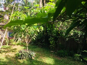 Vue sur le jardin