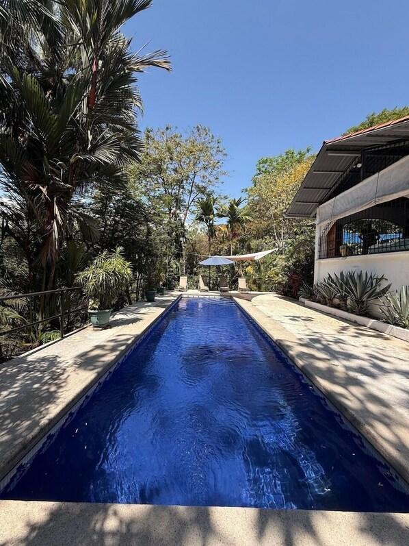 A rectangular swimming pool with a clear blue water surface, surrounded by a concrete deck and potted plants.