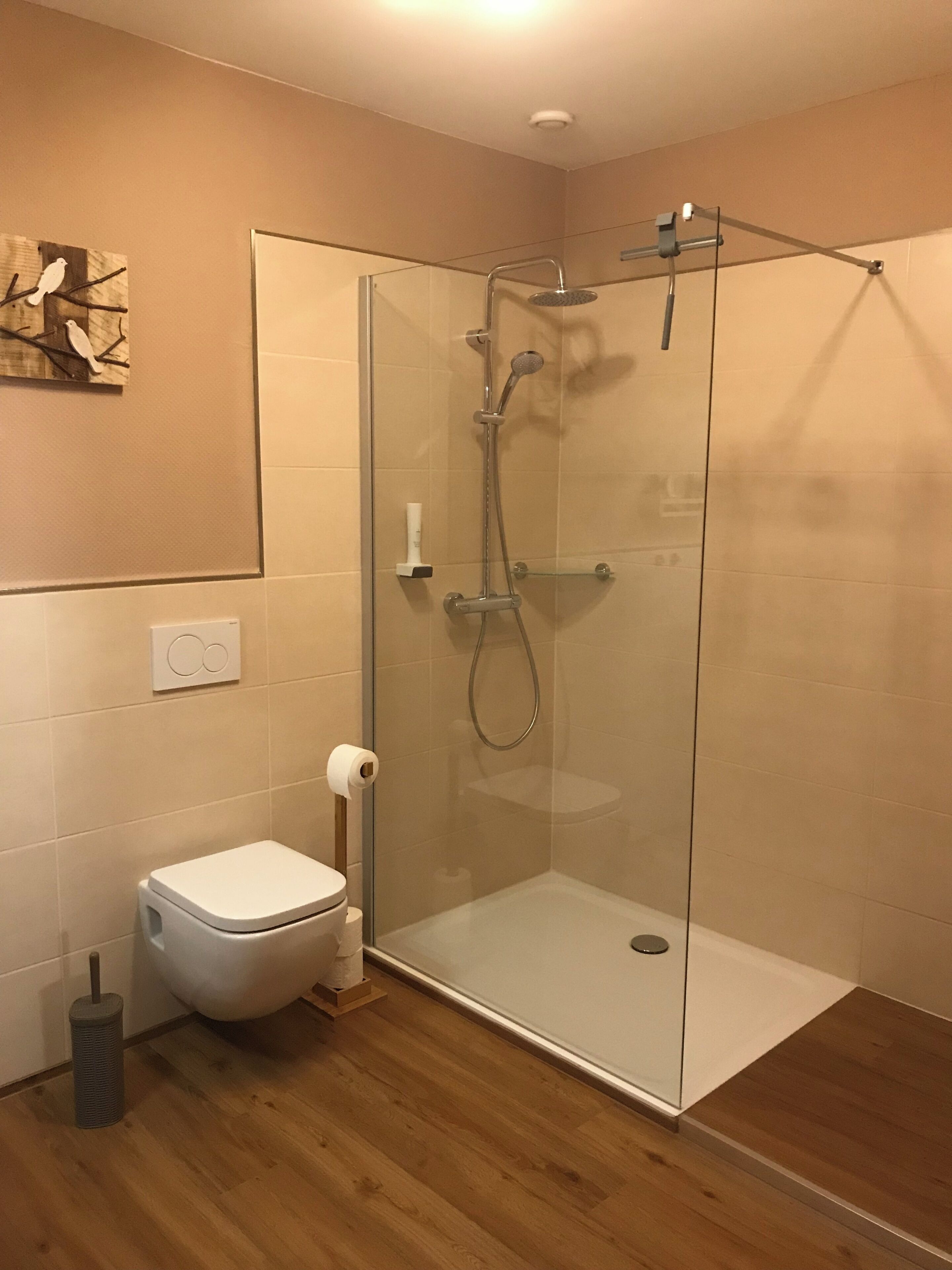 Un baño moderno con ducha de vidrio, inodoro y suelo de madera.