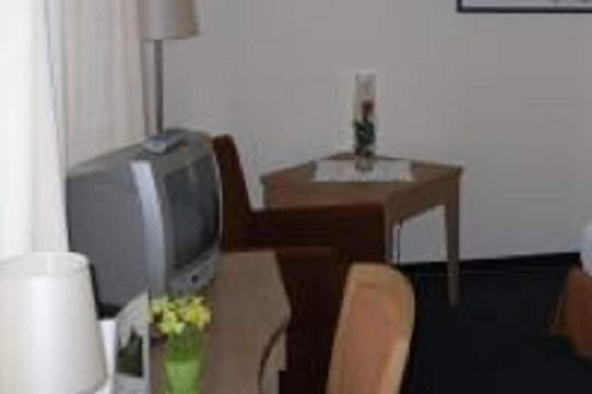 Quarto de hotel com cama, televisão, mesa com um vaso de flores e um quadro na parede.