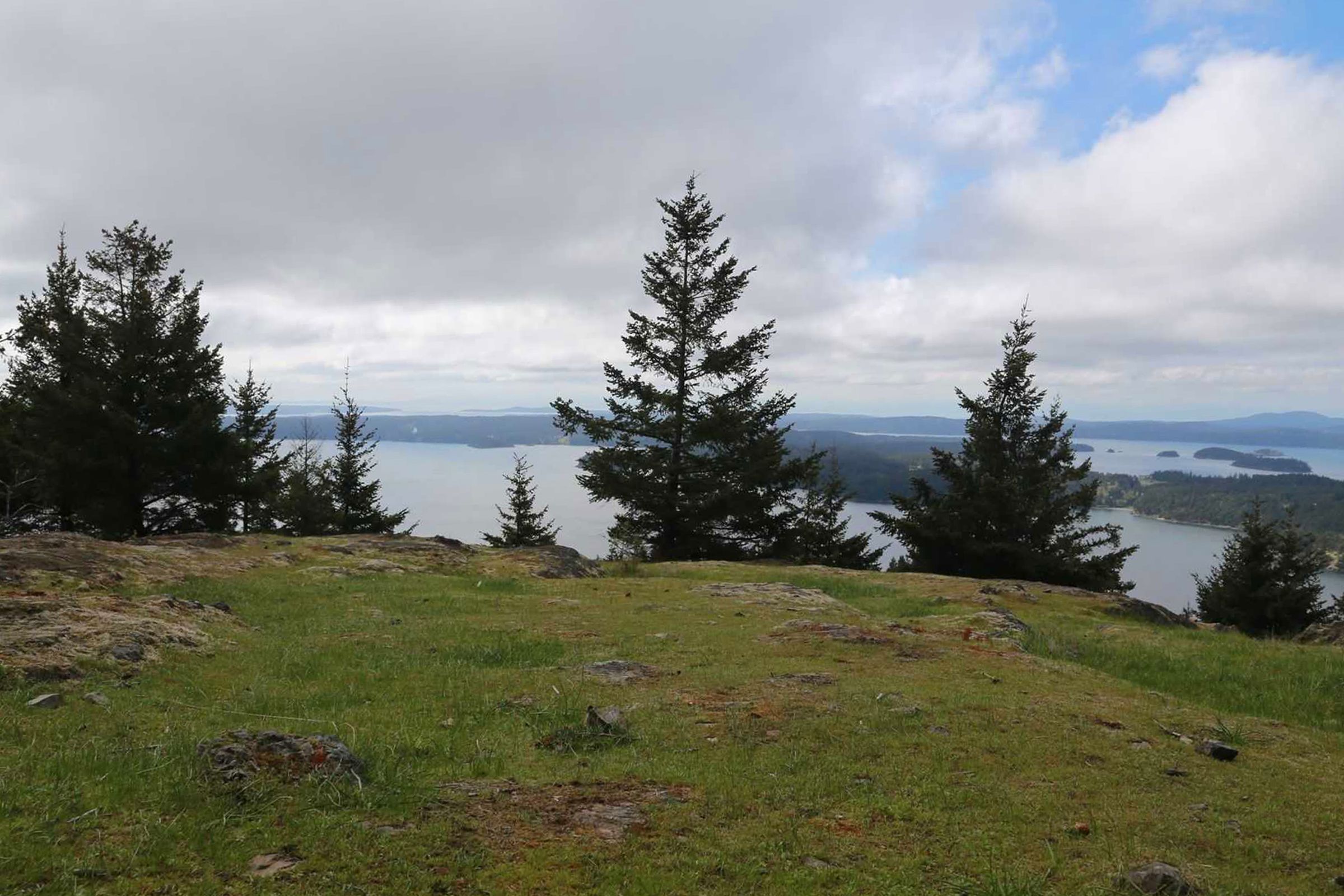 A grassy hill with a view of a lake and distant mountains.