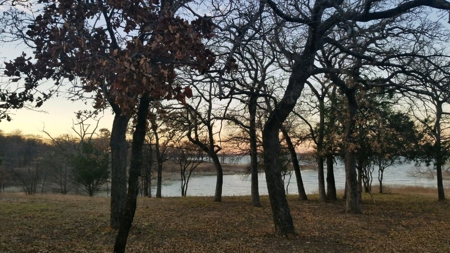 A natural landscape with trees and a body of water.