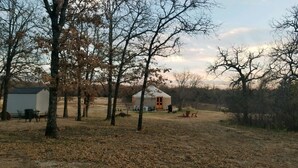 A rustic yurt with a thatched roof, surrounded by trees and a small shed. - Luxury Yurts on Lake Grapevine  (Southlake)