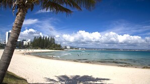 A beach with clear skies, palm trees, and buildings in the background.